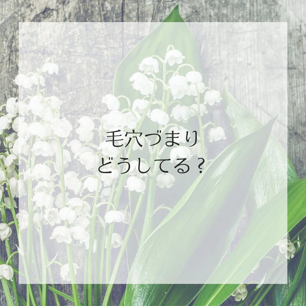 ブログ