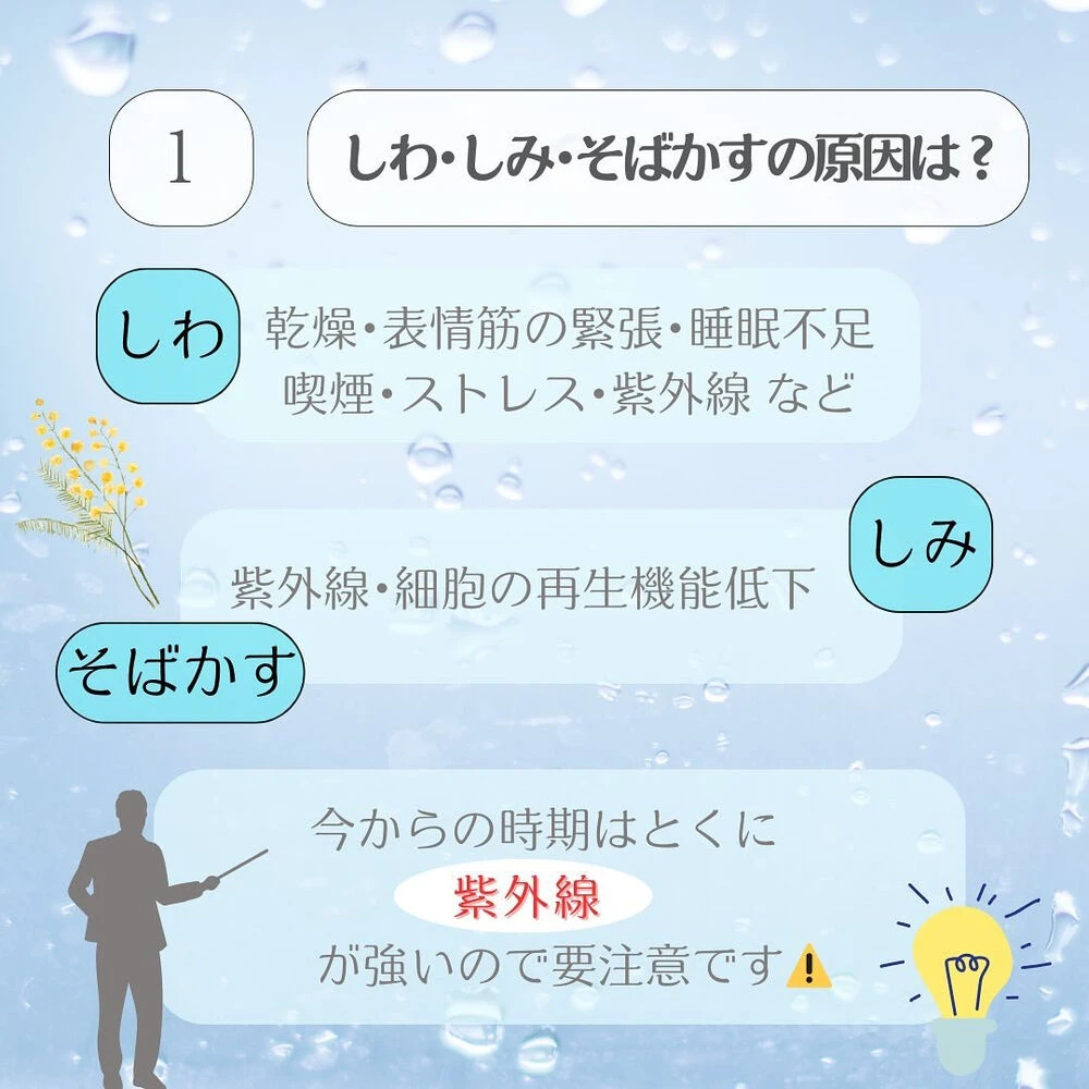 ブログ